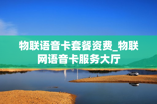 物联语音卡套餐资费_物联网语音卡服务大厅