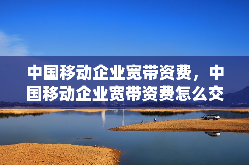 中国移动企业宽带资费，中国移动企业宽带资费怎么交(中国移动企业宽带套餐价格表2020)
