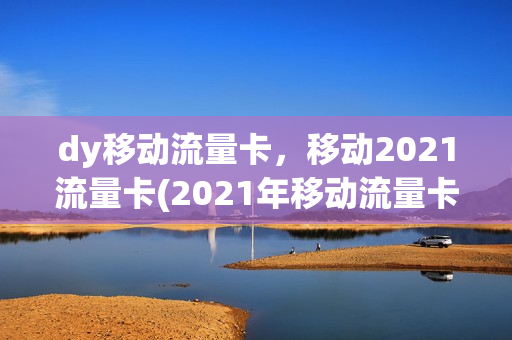 dy移动流量卡，移动2021流量卡(2021年移动流量卡)