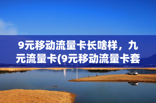 9元移动流量卡长啥样，九元流量卡(9元移动流量卡套餐可以办吗)