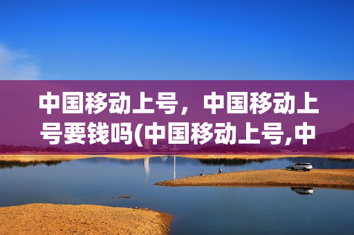 中国移动上号，中国移动上号要钱吗(中国移动上号,中国移动上号要钱吗安全吗)
