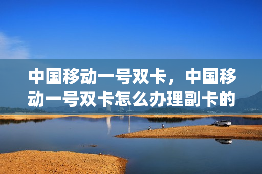 中国移动一号双卡，中国移动一号双卡怎么办理副卡的(移动一号两卡怎么收费)