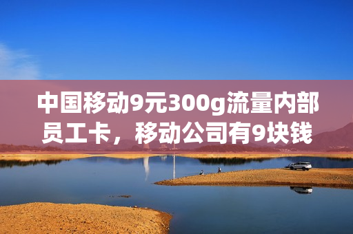 中国移动9元300g流量内部员工卡，移动公司有9块钱的卡吗(移动9元30g流量套餐怎么样)