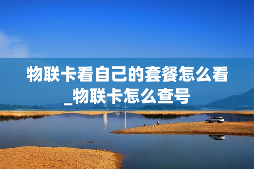物联卡看自己的套餐怎么看_物联卡怎么查号
