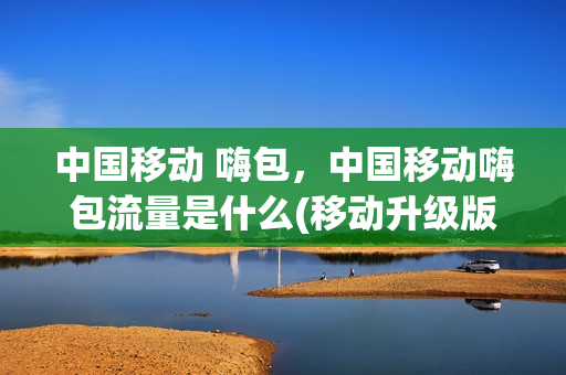 中国移动 嗨包，中国移动嗨包流量是什么(移动升级版嗨包是15块钱每月100g流量吗)