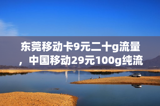 东莞移动卡9元二十g流量，中国移动29元100g纯流量卡(中国移动流量卡29元100g是真的吗)