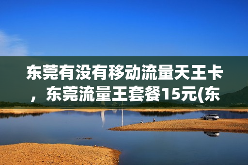 东莞有没有移动流量天王卡，东莞流量王套餐15元(东莞移动王卡定向流量范围)