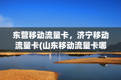 东营移动流量卡，济宁移动流量卡(山东移动流量卡哪个最划算)