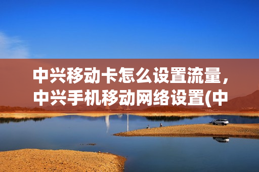 中兴移动卡怎么设置流量，中兴手机移动网络设置(中兴手机能用移动卡吗)