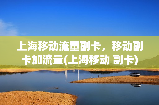 上海移动流量副卡，移动副卡加流量(上海移动 副卡)