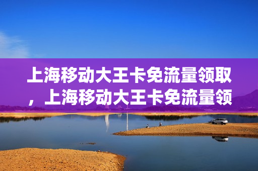 上海移动大王卡免流量领取，上海移动大王卡免流量领取方法(上海办手机流量大王卡)