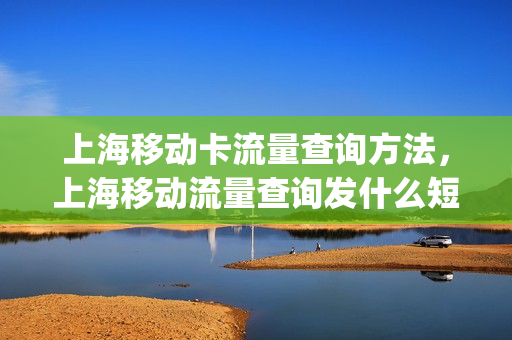 上海移动卡流量查询方法，上海移动流量查询发什么短信(上海移动流量查询短信代码)