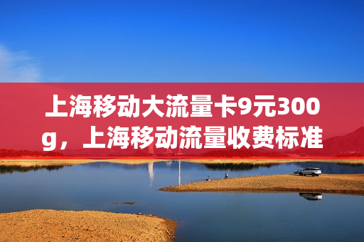 上海移动大流量卡9元300g，上海移动流量收费标准(上海移动大流量卡9元300g,上海移动流量收费标准是什么)