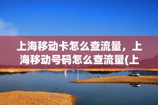 上海移动卡怎么查流量，上海移动号码怎么查流量(上海移动号码查询话费余额)