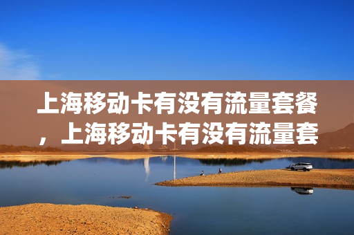 上海移动卡有没有流量套餐，上海移动卡有没有流量套餐的(上海移动有什么流量卡)