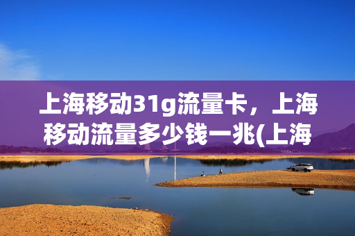 上海移动31g流量卡，上海移动流量多少钱一兆(上海移动流量价格表)