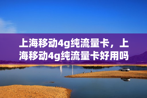 上海移动4g纯流量卡，上海移动4g纯流量卡好用吗(上海移动4g流量卡套餐)