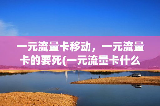 一元流量卡移动，一元流量卡的要死(一元流量卡什么意思)