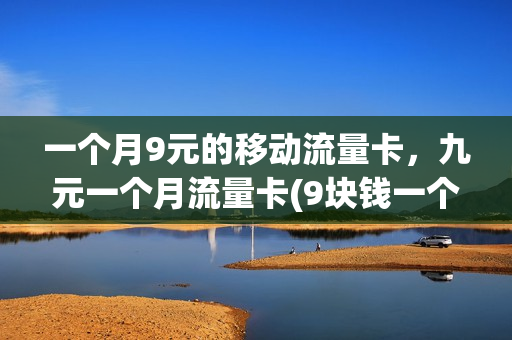 一个月9元的移动流量卡，九元一个月流量卡(9块钱一个月的流量卡)