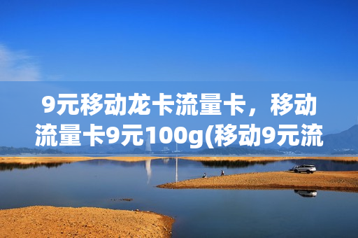 9元移动龙卡流量卡，移动流量卡9元100g(移动9元流量卡详情)