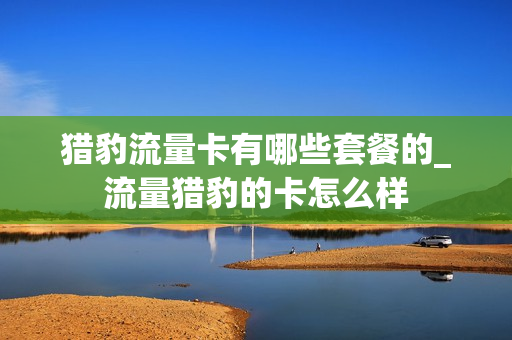 猎豹流量卡有哪些套餐的_流量猎豹的卡怎么样