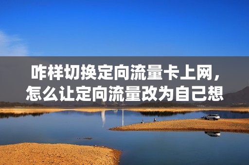 咋样切换定向流量卡上网，怎么让定向流量改为自己想要的(定向流量怎么更改)