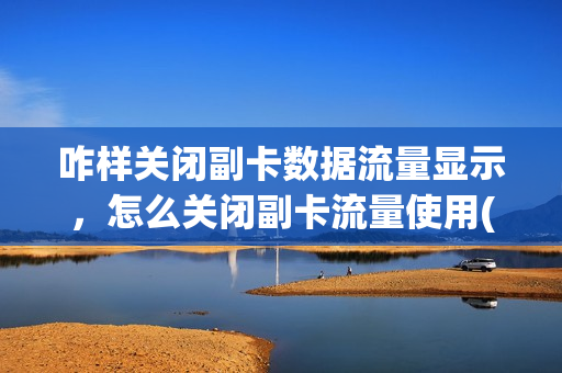 咋样关闭副卡数据流量显示，怎么关闭副卡流量使用(怎么能关掉副卡的流量)