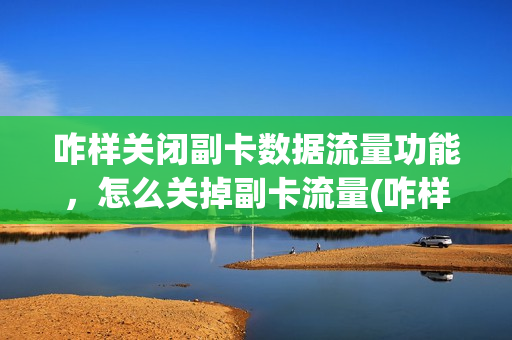 咋样关闭副卡数据流量功能，怎么关掉副卡流量(咋样关闭副卡数据流量功能,怎么关掉副卡流量呢)