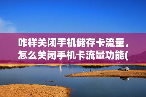 咋样关闭手机储存卡流量，怎么关闭手机卡流量功能(如何关闭手机卡的数据流量)