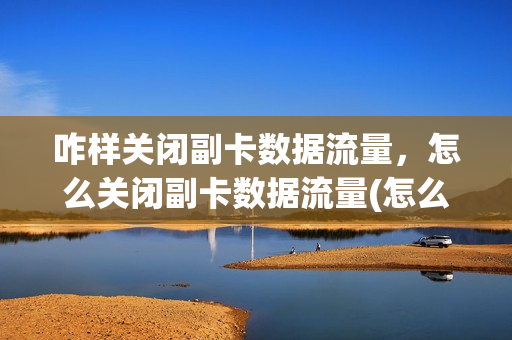咋样关闭副卡数据流量，怎么关闭副卡数据流量(怎么关闭手机副卡的流量)