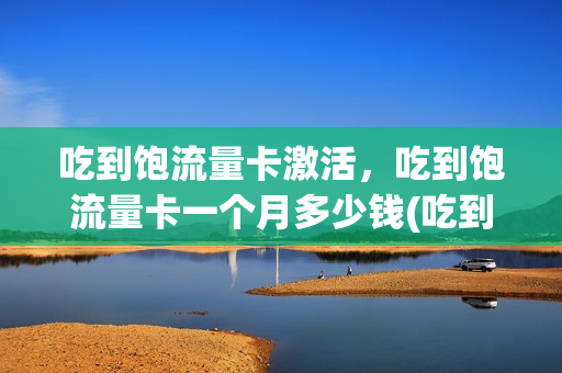 吃到饱流量卡激活，吃到饱流量卡一个月多少钱(吃到饱流量卡资费)