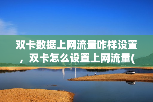 双卡数据上网流量咋样设置，双卡怎么设置上网流量(双卡的话怎么设置流量)