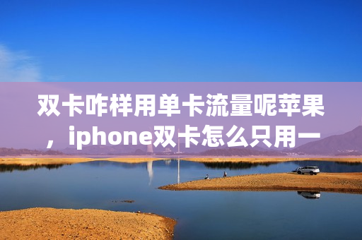 双卡咋样用单卡流量呢苹果，iphone双卡怎么只用一个卡的流量(苹果手机双卡怎么只用一张卡的流量)