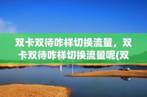 双卡双待咋样切换流量，双卡双待咋样切换流量呢(双卡双待的怎么切换流量)