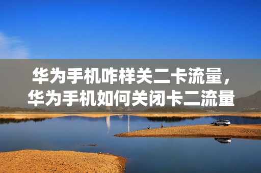 华为手机咋样关二卡流量，华为手机如何关闭卡二流量(华为怎么关闭二卡)