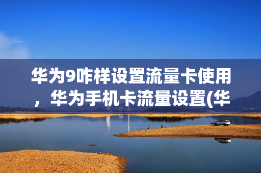 华为9咋样设置流量卡使用，华为手机卡流量设置(华为9x怎么设置流量显示)