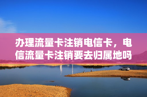 办理流量卡注销电信卡，电信流量卡注销要去归属地吗(电信流量卡注销方法)