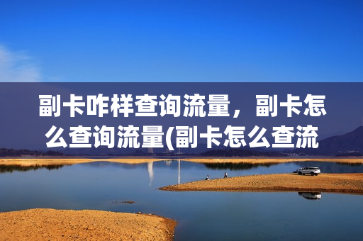 副卡咋样查询流量，副卡怎么查询流量(副卡怎么查流量还剩多少)
