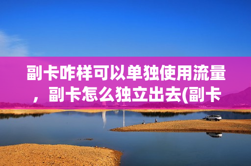 副卡咋样可以单独使用流量，副卡怎么独立出去(副卡如何使用单独流量包)