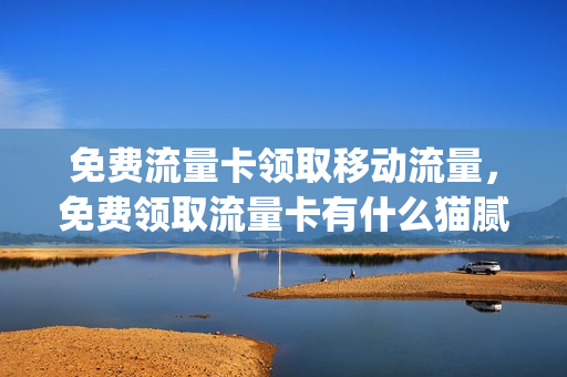 免费流量卡领取移动流量，免费领取流量卡有什么猫腻(免费领流量卡有套路吗)