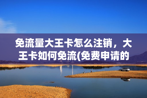 免流量大王卡怎么注销，大王卡如何免流(免费申请的大王卡怎么取消订单)
