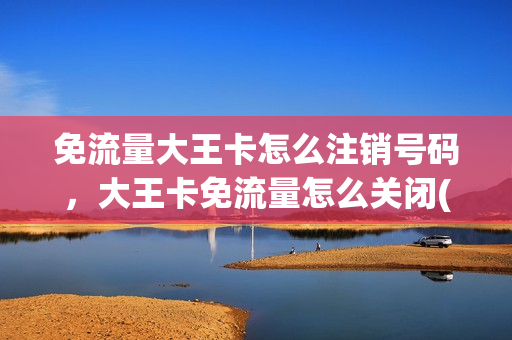 免流量大王卡怎么注销号码，大王卡免流量怎么关闭(大王卡不需要的费用怎么关闭)
