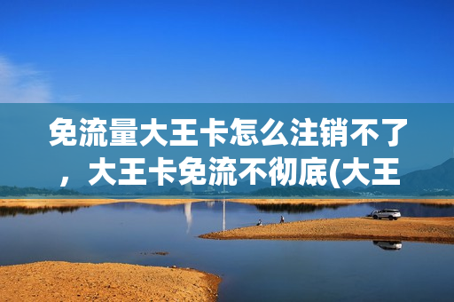 免流量大王卡怎么注销不了，大王卡免流不彻底(大王卡说好的免流量呢)