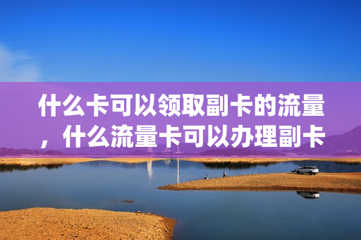 什么卡可以领取副卡的流量，什么流量卡可以办理副卡(流量副卡哪家好)