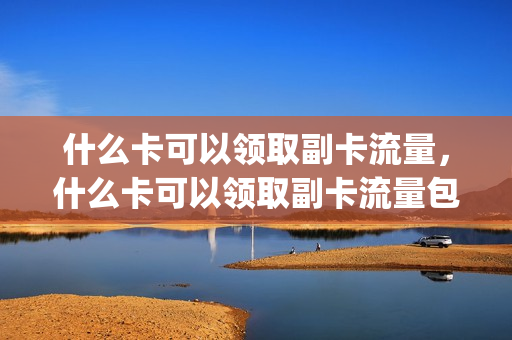 什么卡可以领取副卡流量，什么卡可以领取副卡流量包(什么副卡流量多便宜)
