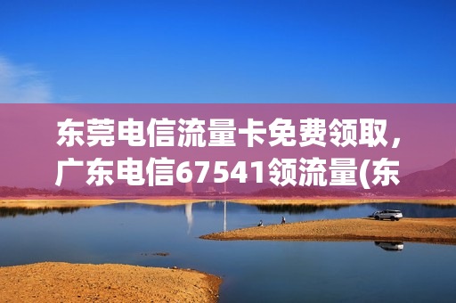 东莞电信流量卡免费领取，广东电信67541领流量(东莞电信卡套餐)