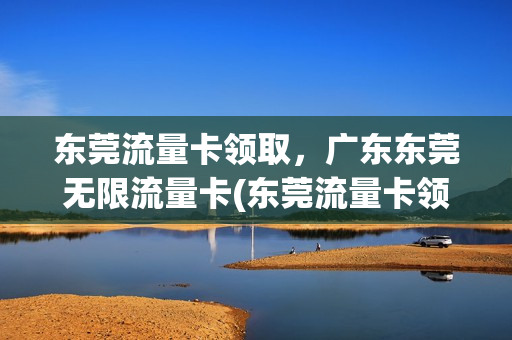 东莞流量卡领取，广东东莞无限流量卡(东莞流量卡领取,广东东莞无限流量卡能用吗)