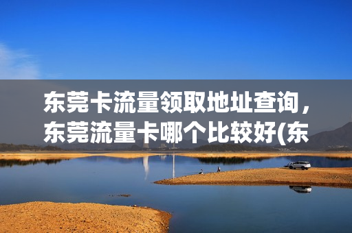 东莞卡流量领取地址查询，东莞流量卡哪个比较好(东莞移动流量包优惠)