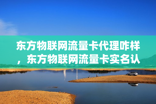 东方物联网流量卡代理咋样，东方物联网流量卡实名认证(东方物联网官网)