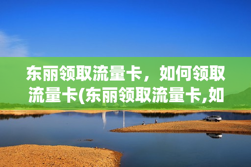 东丽领取流量卡，如何领取流量卡(东丽领取流量卡,如何领取流量卡呢)